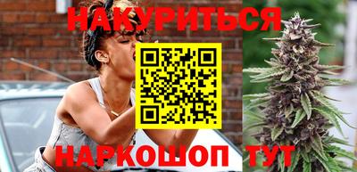 индика Будённовск