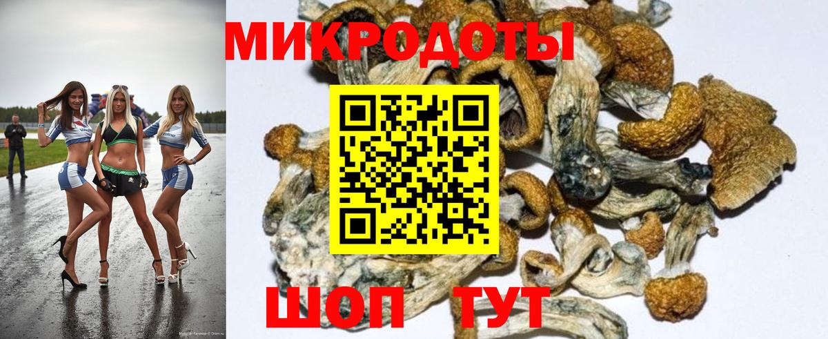Подольск  Галлюциногенные грибы Psilocybe  Галлюциногенные грибы MAGIC MUSHROOMS  Вход с VPN 